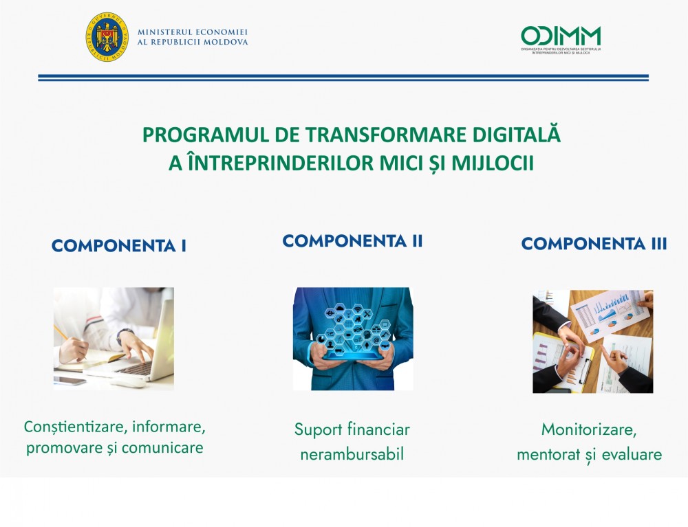 Guvernul a DECIS: 10 milioane de lei vor fi acordate pentru transformarea digitală a întreprinderilor mici și mijlocii